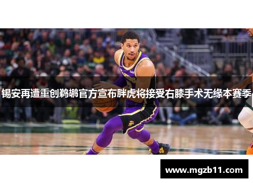 锡安再遭重创鹈鹕官方宣布胖虎将接受右膝手术无缘本赛季